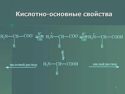 Кислые и основные белки