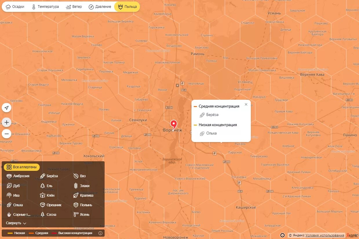 Карта пыльцы для аллергиков. Карта аллергии России. Карта поллиноза. Уровень пыльцы в воздухе