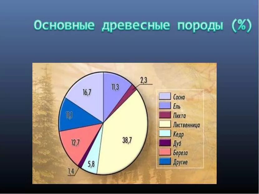 Основные древесные породы. Основные лесообразующие древесные породы. Основные древесные породы России. Основные древесные породы Татарстана. Основные лесообразующие породы