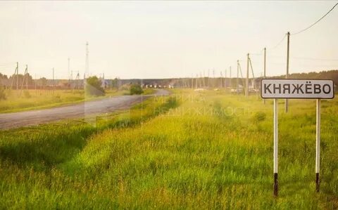 Прогноз погоды княжево