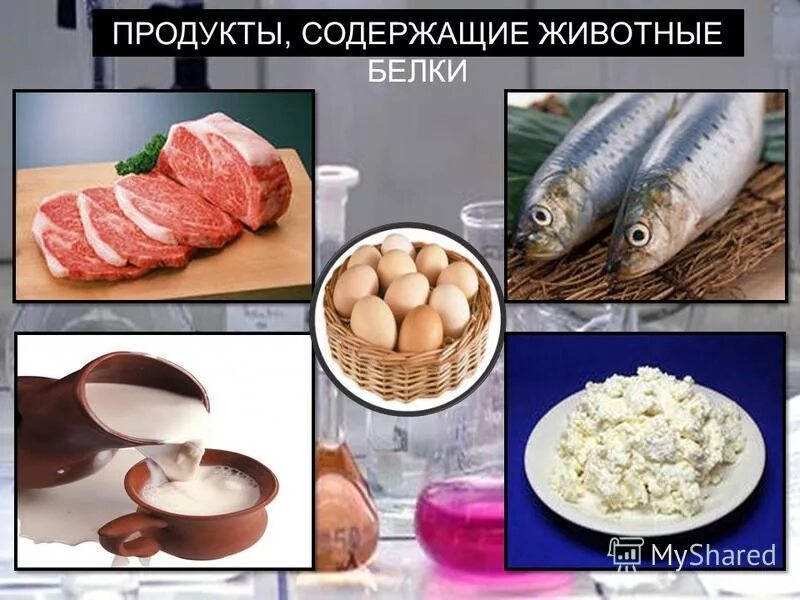 Выбрать продукты содержащие белки. Белок в продуктах. источники белка. источники белка в питании. белки в продуктах питания.