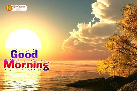 Good morning tv