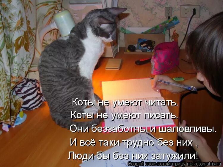 Стихи учу уроки. Кот учит уроки. Кот делает уроки. Котик учит уроки. Учи уроки картинки прикольные.