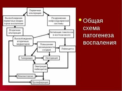 Острый и хронический процесс