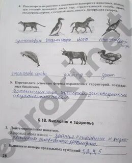 Биология 5 класс рабочая тетрадь стр 29