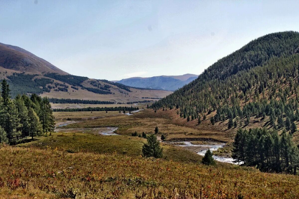 Погода село родино. Родина Республика Алтай. Деревня Родино Алтайский край. Родинский район Алтайский край озеро. Красный Алтай Родинский район Алтайский край.