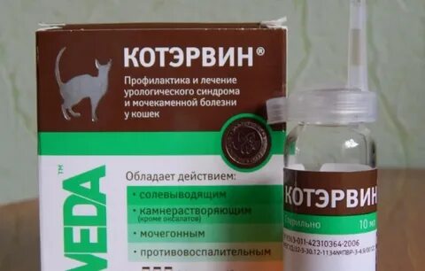 Операция коту при мочекаменной болезни