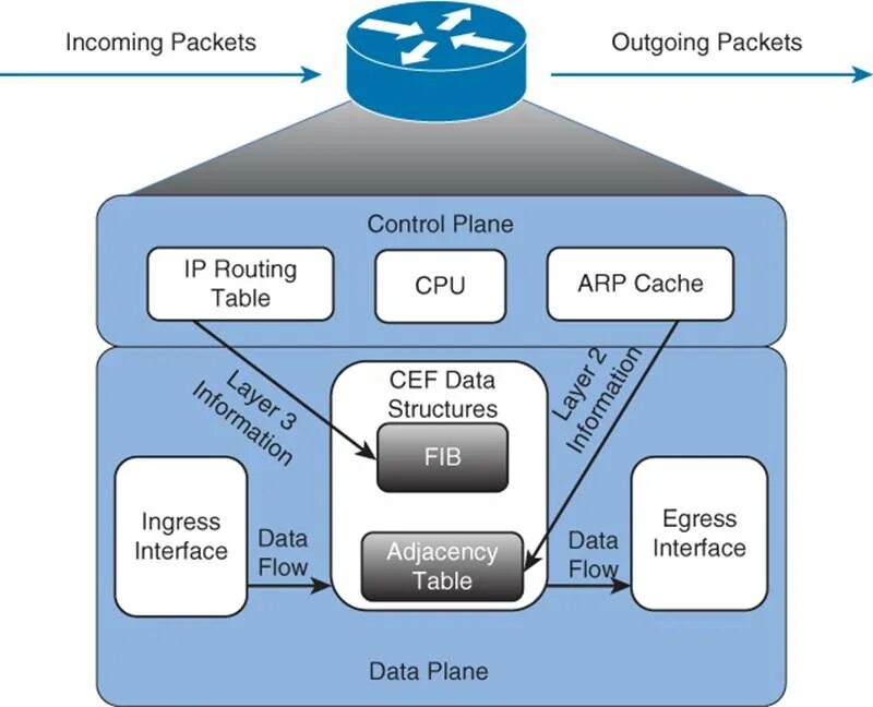 Cisco CEF. Data Интерфейс. CEF интерфейсы. Cisco Express Forwarding (CEF).