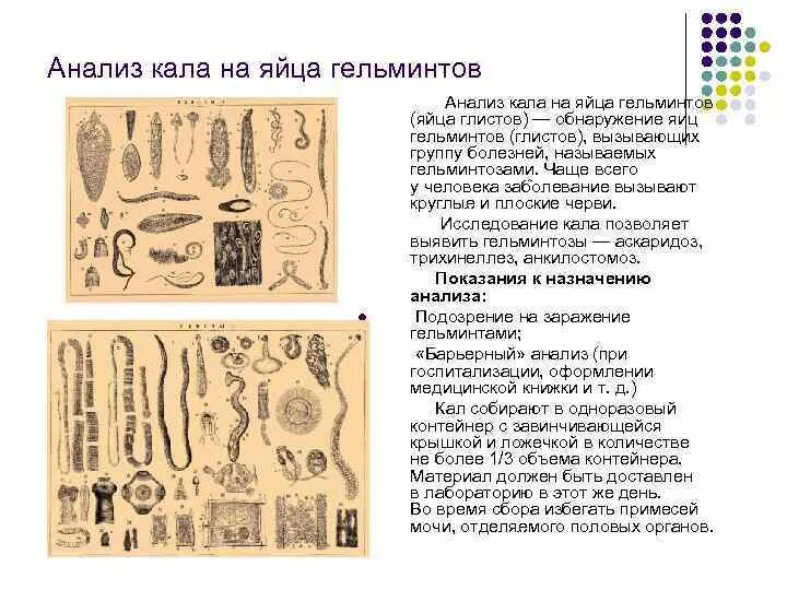 Анализ червя. Микроскопия кала яйца гельминтов. Памятка исследование кала на яйца гельминтов. Анализ кала на яйца гельминтов цель. Исследование кала на простейшие.