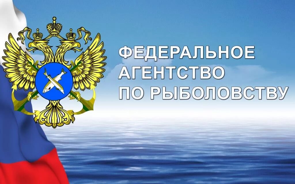 Управление росрыболовства. Флаг федерального агентства по рыболовству. Федеральное агентство по рыболовству. Росрыболовство федеральное. Флаг росрыболовства.