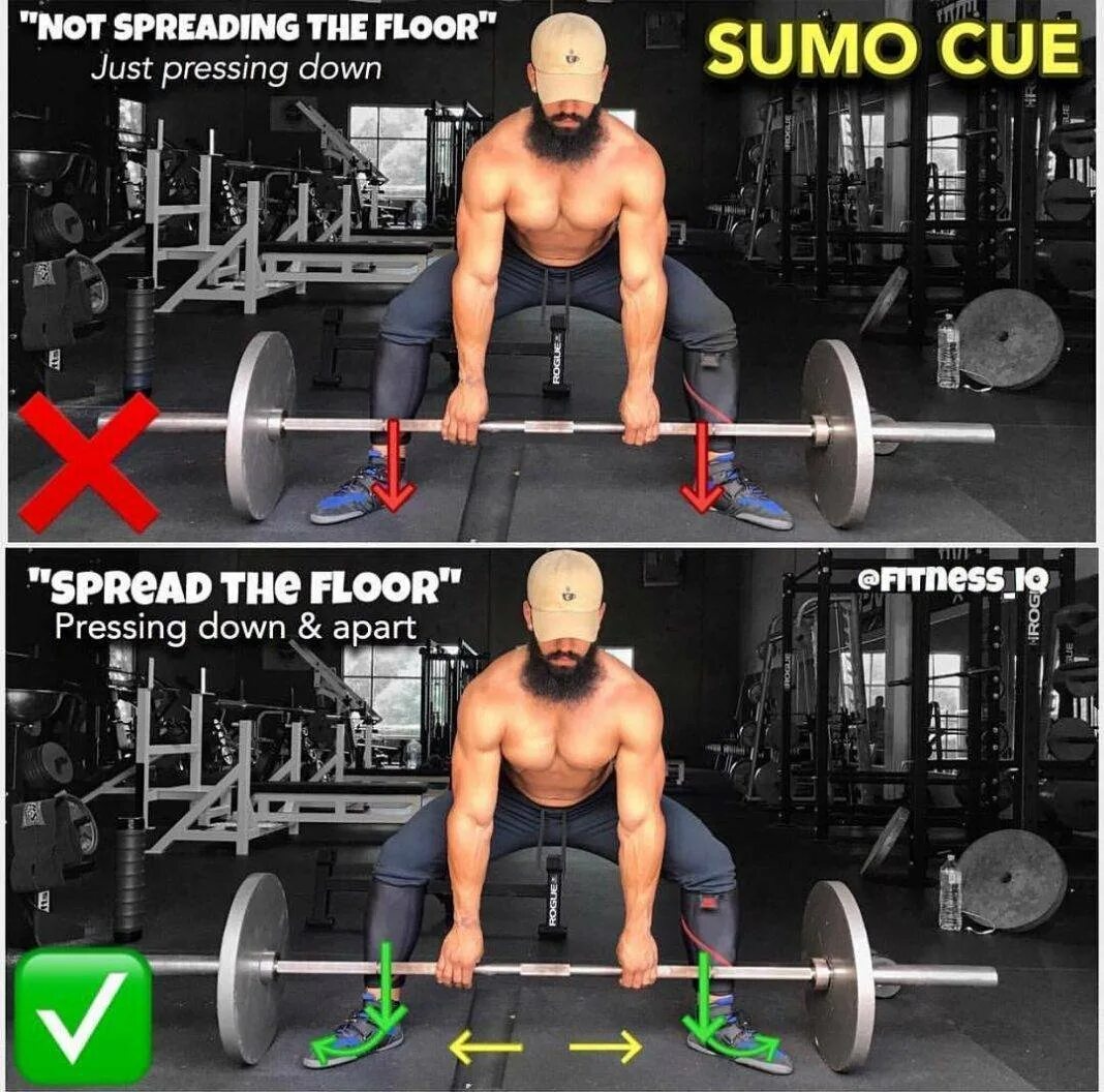Тяга сумо мышцы задействованы. Тяга сумо со штангой техника. Техника выполнения становой тяги сумо. Становая тяга со штангой сумо. Just press