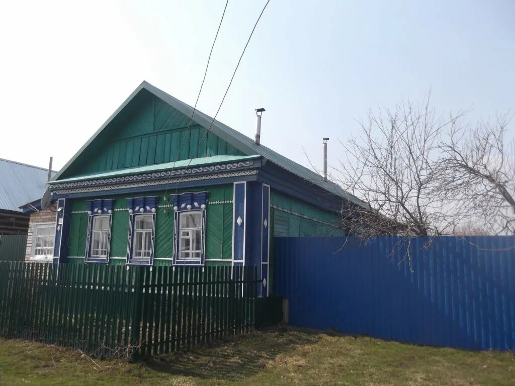 Дом в с. Трофимовка в Пензе