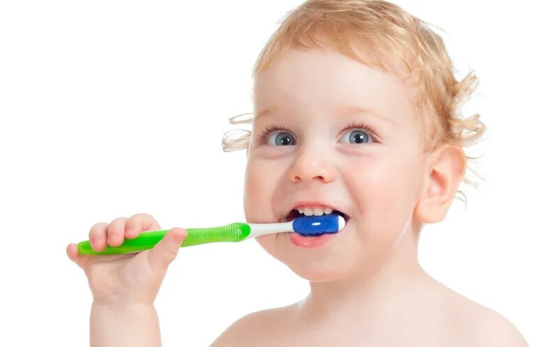 Two tooths. Baby Tooth Care.