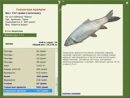 Волжский подуст реальная рыбалка
