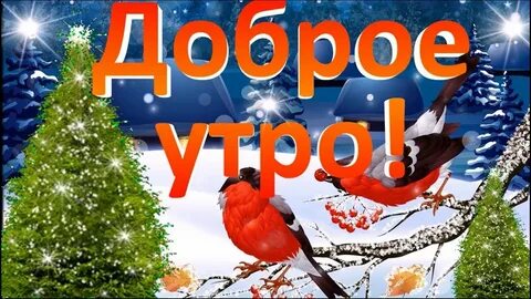 30 декабря среда