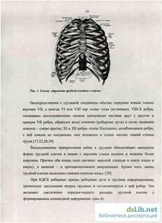 Грудная клетка у детей 3 лет