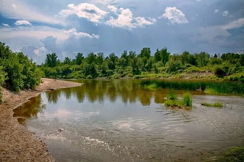 Шли берегом реки