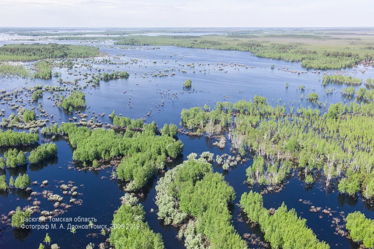 Самое большое болото васюганское. Васюганские болота Томск. Васюганские болота торф. Западно Сибирская равнина Васюганское болото. Васюганское болото заповедник.