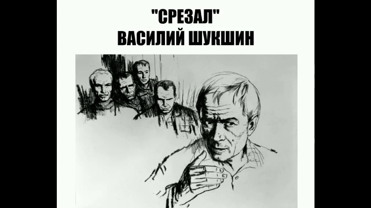 Рассказ василия шукшина срезал. Шукшин срезал иллюстрации. Шукшин срезал аудиокнига. Срезал Шукшин радиоспектакль.