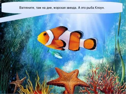 Рыбка 1