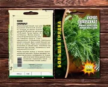 Через сколько дней взойдет укроп. Укроп Грин Стар. Укроп Супердукат. ИП Григорьев семена. Укроп сорт сильнооблиственный.