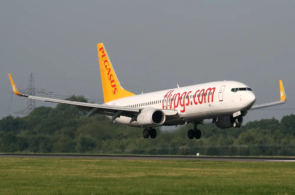 Авиалинии пегасус. Boeing 737 pegasus airlines. boeing 737-82r. pegasus airlines авиапарк. авиакомпания пегасус авиапарк.