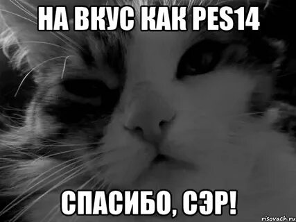 Спасибо 14