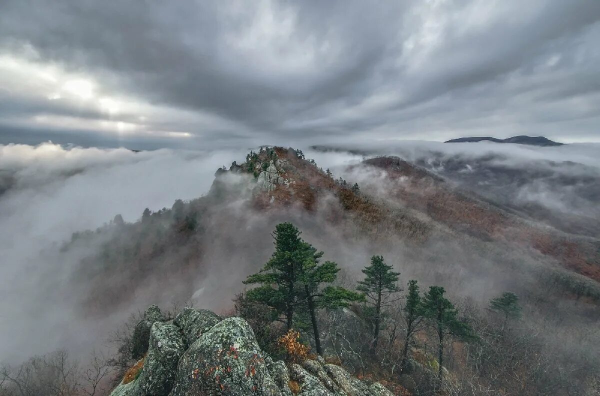 Первозданная земля. Сопка туманная Приморский край. Природа Приморского края сопки. Сопка туманная Приморский край фото. Море на Дальнем востоке с сопками.