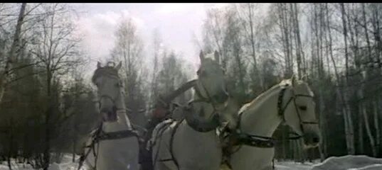 Песня из кинофильма чародеи три белых коня. Чародеи фильм 1982 три белых коня. лариса долина три белых коня 1982. три белых коня из фильма. витас три белых коня.