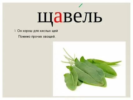 В слове щавель 3 слога