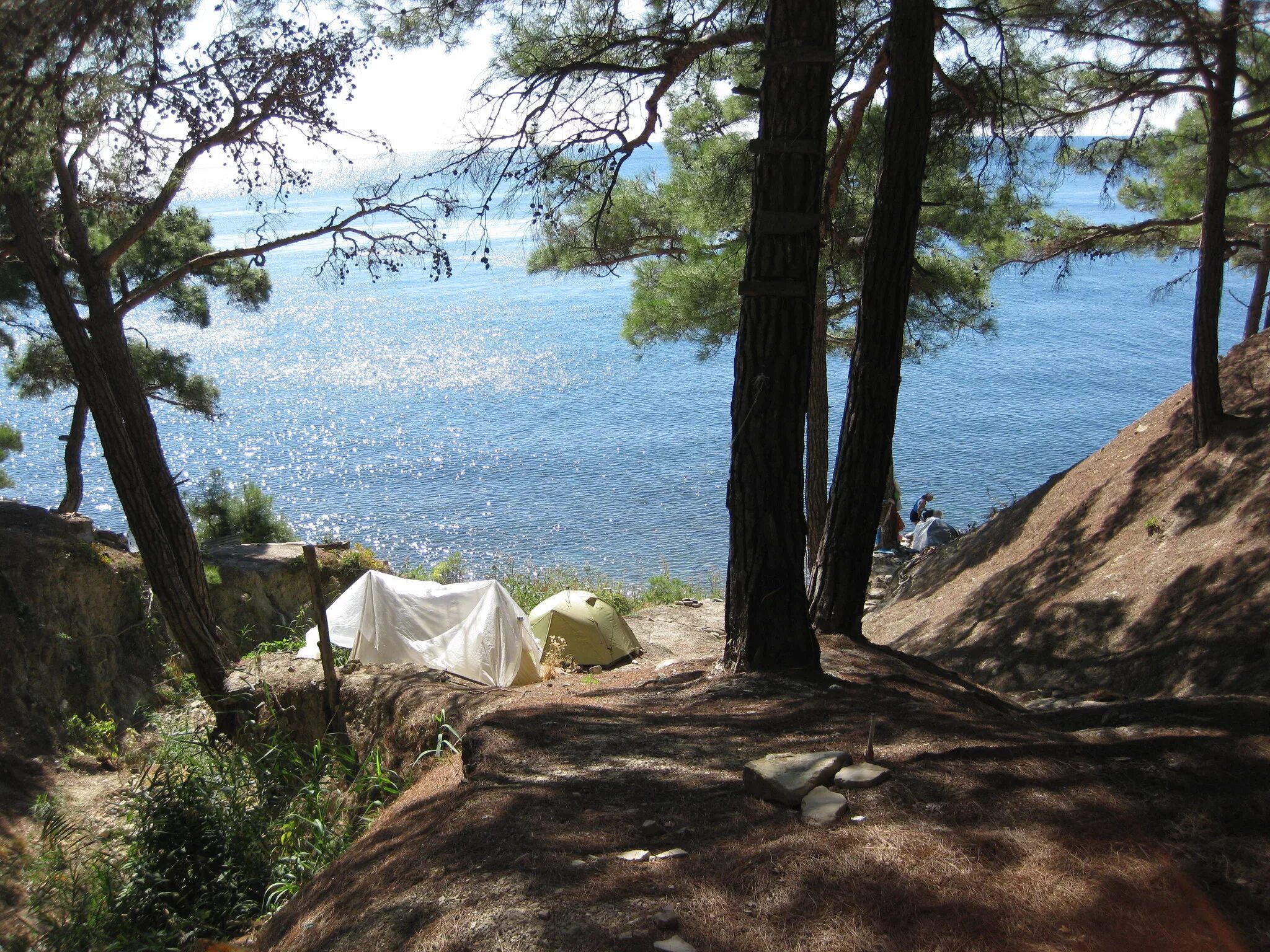 сосновый рай