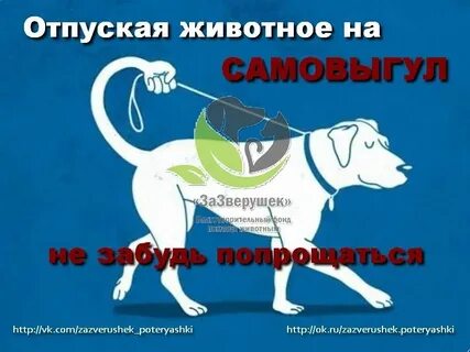 Собака отпусти