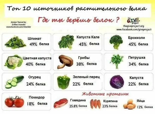 В каких продуктах содержится больше белка. В каких овощах содержится белок. Овощи с высоким содержанием белка таблица. В каких овощах и фруктах содержится белок. Овощи с высоким содержанием белка.