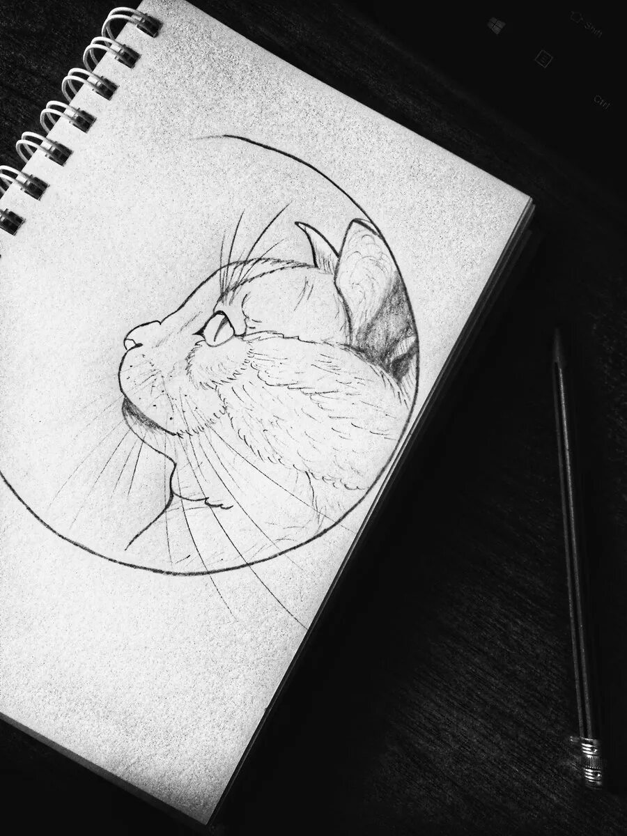 Что можно нарисовать когда скучно красиво. Хаги ваги скетч. Что нарисовать когда скучно. Чтонарсрватькогдаскучно. Что нарисовать когда СК.