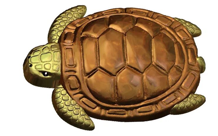 Черепаха форма. Конфеты в форме Черепашки. Форма Черепашки. Шоколад в форме черепахи. Черепаха пластмассовая.