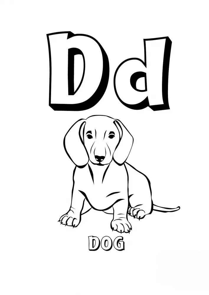 D english