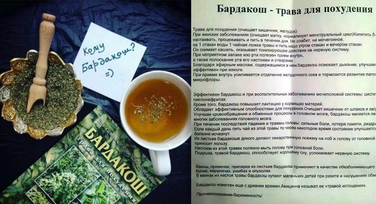 Какую траву можно пить мочегонные