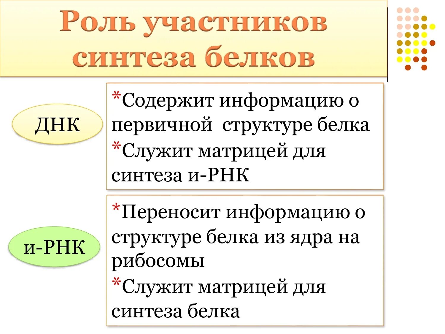 Роль ДНК В процессе биосинтеза белка. Роль ДНК для белков. Ролт ДНК В биосинтезе белка. Роль ДНК В биосинтезе белка.