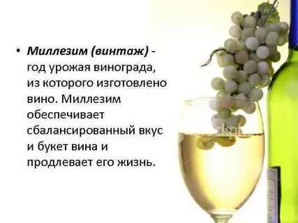 Вина имеет