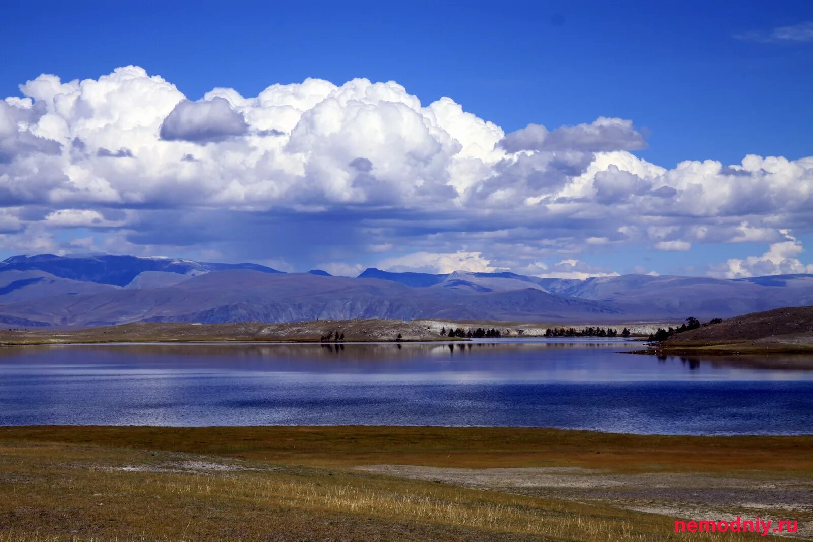 монгольский алтай. алтай монголия город. монголия алтахер местность. монголы на алтае. алтай монголия.