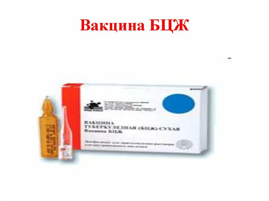 Вакцина против бцж. Вакцина БЦЖ форма выпуска. Вакцина туберкулезная БЦЖ сухая. Прививка против туберкулеза (БЦЖ). Вакцина туберкулезная (БЦЖ-М) сухая.