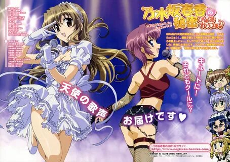 Nogizaka Haruka Nogizaka Mika Amamiya Shiina Sakurazaka Hazuki Nanashiro Na...