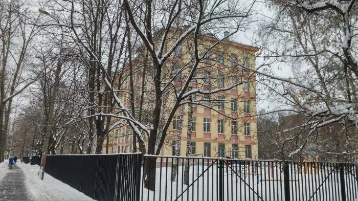 Школа 439 басовская 7. Лицей москва. Школа 439. Школа 439 басовская 7. Школа 439 петергоф.