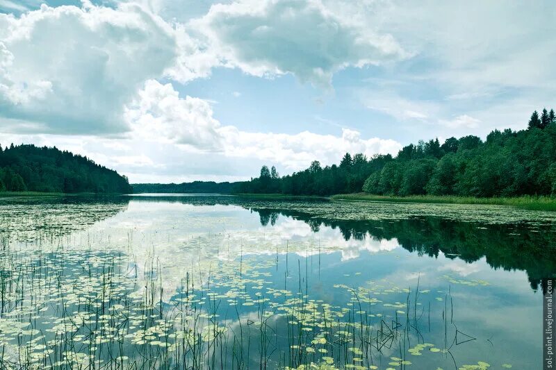 Озеро ужин. Озеро ужин на Валдае. Озеро ужин Новгородская область. Валдай белое озеро рядом с озером ужин.