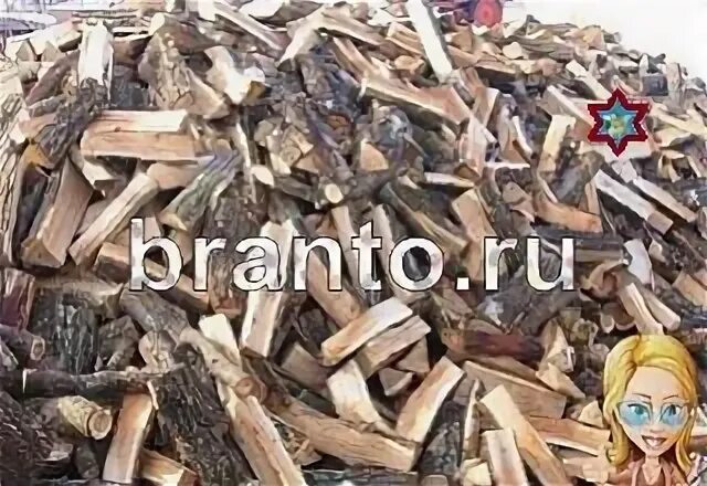 Чтобы найти кота. Чтобы найти кота
