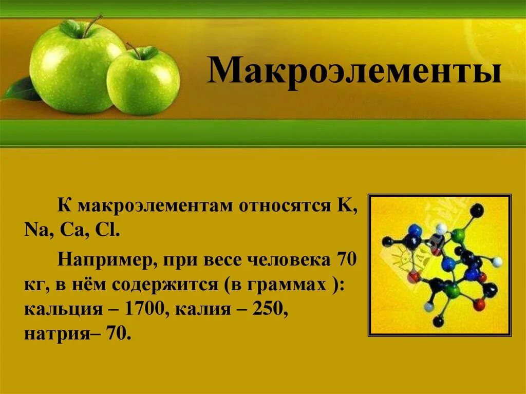 Какие элементы относятся к макроэлементам. Макроэлементы. к макроэлементам относят. элементы макроэлементы. макроэлементы в организме человека.