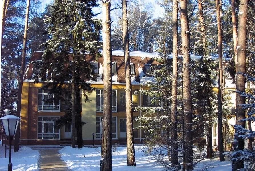 Где провести новый год в подмосковье недорого