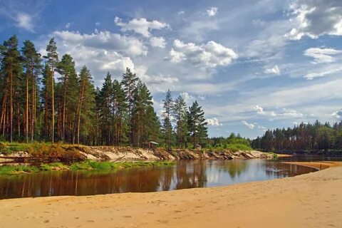Светлый ивановская область