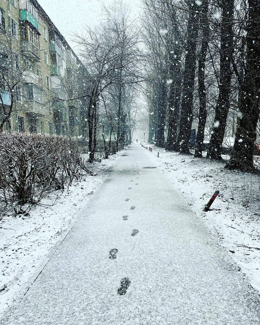 2 июня снег. Снег в Москве. Снегопад в Москве. Снег в апреле в Москве. Апрельский снегопад.