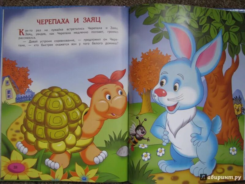 К какому жанру относится произведение зайцы. Произведение черепаха и заяц. иллюстрация к сказке заяц и черепаха. книга заяц и черепаха. рассказ заяц и черепаха.